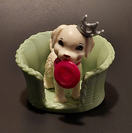 "Barbie Frisbee Dog"
