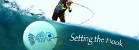 Setting Hook title v2