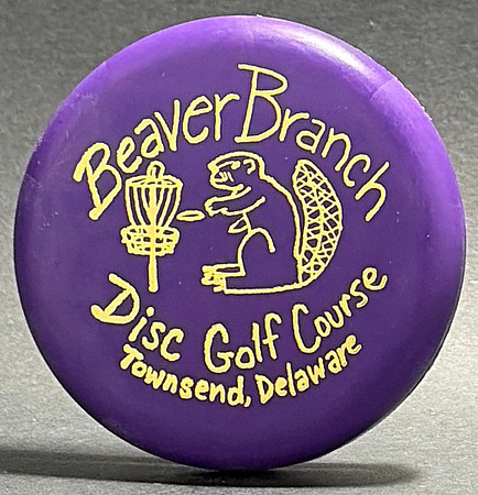 Beaver Branch DG Course—Little Flyer Mini—Purple—Gold