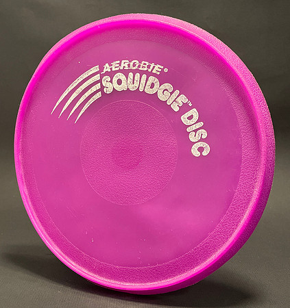 Aerobie—Squidgie—Purple—Silver