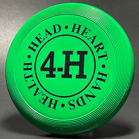 4-H—Garyline Mini Flyer—Green—Black