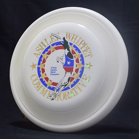 ASHLEY WHIPPET– 3X WORLD CHAMP.