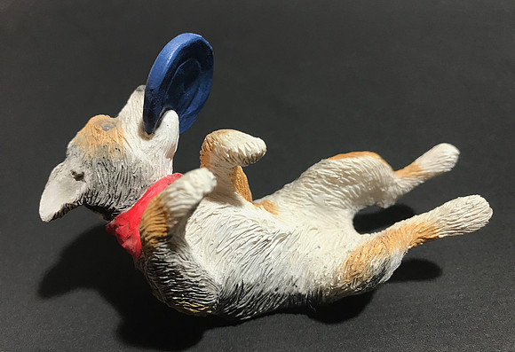 "Back Roll"—Aussie—Sandicast