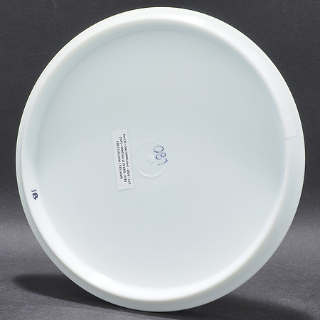 Las Vegas Challenge, 2020—Innova Roc3—"Dice"—INNColor