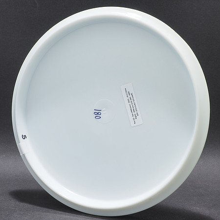 Las Vegas Challenge, 2023—Innova Roc3—"Date Night"—INNColor