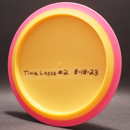 Axiom Time Lapse—Orange, Pink—Blank—Bottom